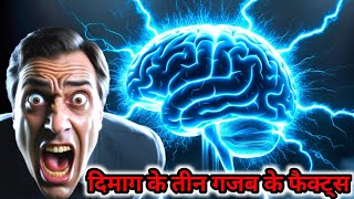 Brain se realted 3 gajab ke facts  Top 3 best facts about Mind alaateefacts [upl. by Ming417]