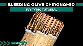 Bleeding Olive Chironomid  Fly Tying Tutorial [upl. by Novets]