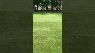 Blowing damp Zoysia clippings with the Echo PB 9010T [upl. by Allayne407]