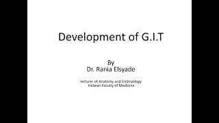 Development of midgut and hindgut [upl. by Bekah]