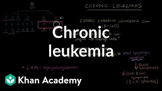 Chronic leukemia  Hematologic System Diseases  NCLEXRN  Khan Academy [upl. by Maccarone866]