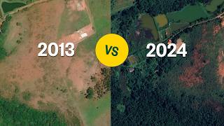 Rebuilding Brazils Forgotten Forest [upl. by Cristiona]