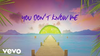 Sigala Shaun Frank Flo Rida  You Dont Know Me Lyric Video ft Delaney Jane [upl. by Lowis]