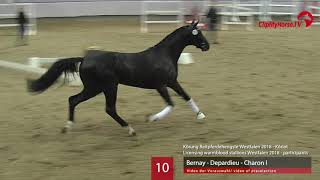 10 Hengst v Bernay  Depardieu  Charon [upl. by Schindler]