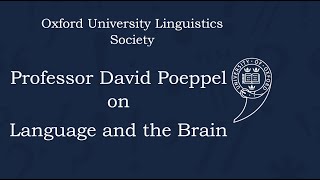 David Poeppel on Language and the Brain  Oxford University Linguistics Society [upl. by Sairtemed879]