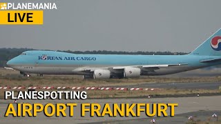 Planespotting LIVE Frankfurt Airport  Germany with ExpertChat [upl. by Leen]