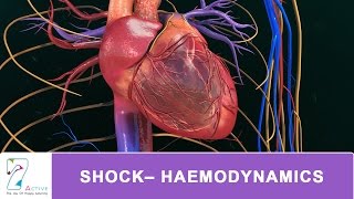 SHOCK– HAEMODYNAMICS [upl. by Akemet597]