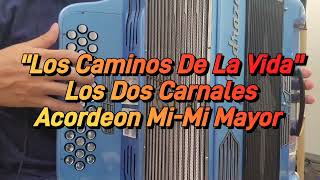 Los Caminos De La VidaLos Dos CarnalesAcordeon MiMi Mayor [upl. by Aicile]