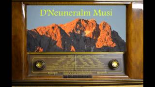 D´Neuneralm Musi Alpbach Marsch  Löffelpolka [upl. by Refinneg]