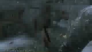 Pyramid Head killing spree in TESIV Oblivion [upl. by Hippel]