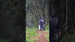 SOLO CAMPING IN THE RAIN  HIKING TO GO CAMPING ⛈️ camping [upl. by Tertia]