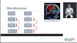 Dr Nadia Borlase  Trauma and the Earthquake Brain [upl. by Aicnorev396]