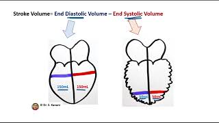 Cardiac Output Calculation [upl. by Moriah]