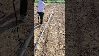 sprinkler system oscillating sprinkler irrigation control shorts supplier lifehack crop land [upl. by Strenta]