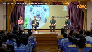 📹活動重溫【Now TV x 長隆「未來由STEM開始」之動物保育與科普School Tour】第三站：大埔舊墟公立學校｜主題動物：樹熊 [upl. by Ibok589]