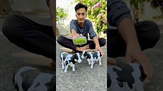 Rc Remote Control Two Cow Unboxing 🐄🔥 [upl. by Bordiuk]