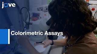 Colorimetric Assays of Intracellular Lactate and Pyruvate  Protocol Preview [upl. by Evangelina]