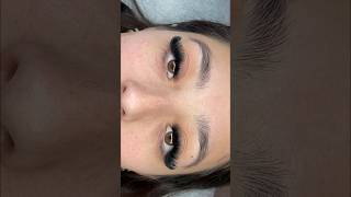 How to apply eyelash extensions to the natural lashes lashes lashfans lashapplication lashtech [upl. by Steffie]