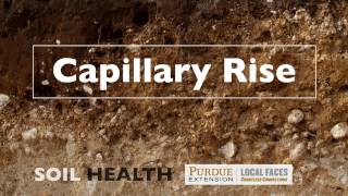 Soil Basics Capillary Rise [upl. by Plossl]