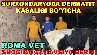 DERMATIT KASALIGI GUNAJINGA HAM YUQUBTI DAVOLASH BOSHLANDI [upl. by Curt376]