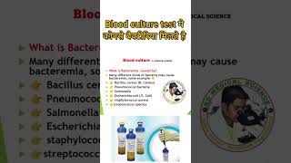 Bacteria in blood culture test in hindishorts [upl. by Nnanaej13]