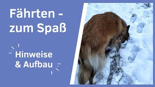 Eine Fährte legen  für Anfänger geeignet I Hund folgt einer Spur I Aufbauanleitung I Trittfährte [upl. by Elbas]