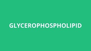 How To Pronounce Glycerophospholipid  Pronunciation Academy [upl. by Levesque]