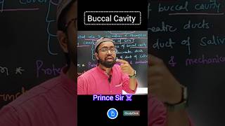 Buccal Cavity [upl. by Phyllys]