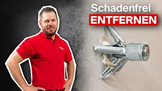 HohlraumMetalldübel aus Wand entfernen [upl. by Solita]