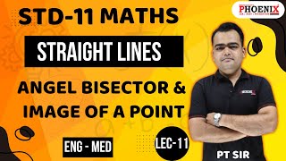 STD 11 TH EM  MATHS  Straight Lines ANGEL BISECTOR amp IMAGE OF A POINT LEC 11  PT SIR [upl. by Einotna]