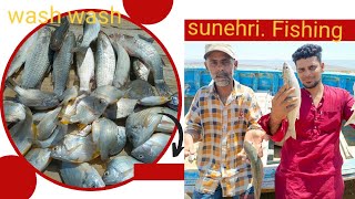 sunehri Fishing Wash Wash Fishing Fun 742024 [upl. by Lenhard213]