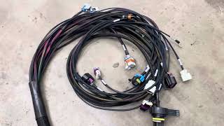 LS36L80E wiring [upl. by Ebony327]