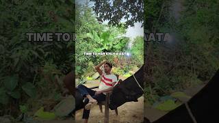 सबर कर सबर तेरा भी टाइम आएगा 💸😈🦅 youtubeshorts dairyfarmers dairyproducts cow dairyfarm [upl. by Krid]