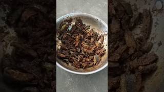 dondakaya fry recipe in telugu rjalaveni dondakaya fry telugurecipes trendingrecipes viral 1m [upl. by Mehelhteb]