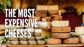 The 16 Most Expensive Cheeses in the World [upl. by Adal952]