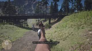 Red Dead Redemption 2 Belgian Draft And Piebald Tobiano Second Race Vs Nokota Early In Chapter 2 [upl. by Burkhart]