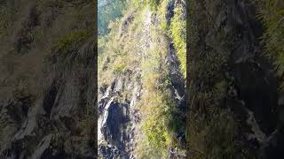 springwater nature waterfallsounds mountain [upl. by Notgnihsaw]