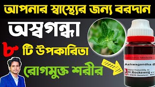 অশ্বগন্ধার উপকারিতা  পুরুষের প্রজনন ক্ষমতা বৃদ্ধি করে । Homeopathic Medicine Ashwagandha Benefits [upl. by Samella812]