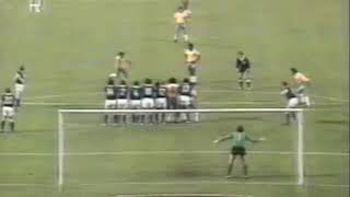 Rivelino Free Kick vs Germany [upl. by Dutch312]