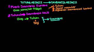 Tutumun Davranışa Etkisi Psikoloji  Davranış [upl. by Antone]