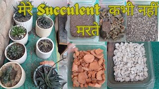 Best soil mixture for your succulent [upl. by Ahsatak291]