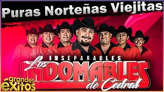 Los Indomables De Cedral  Puras Norteñas Viejitas Para Pistear [upl. by Bunker461]