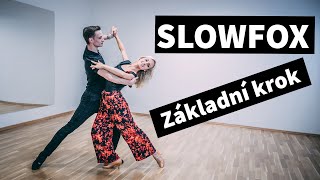 Slowfox  Základní krok  Dancebuddies Online taneční [upl. by Amaris336]