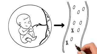 What to expect in your First Trimester of pregnancy  Pregnancy WeekbyWeek [upl. by Kenrick]