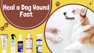 Best Treatment For Dog Wounds Heal Dog Wound Fast [upl. by Rayner443]