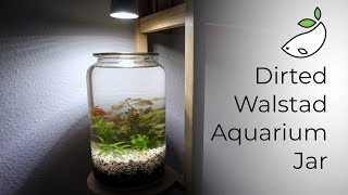 How To  Dirted Walstad Aquarium Jar [upl. by Adnaram]