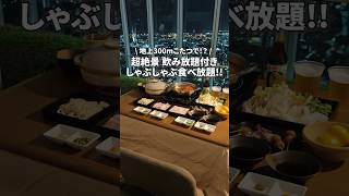 【天王寺】地上300mのこたつで楽しむ食べ飲み放題 [upl. by Pris]