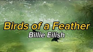 Billie Eilish Birds of a Feather Clean Lyrics [upl. by Gavette186]