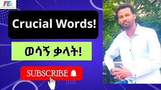 English  Amharic Lesson 04 Vocabulary [upl. by Notsag969]