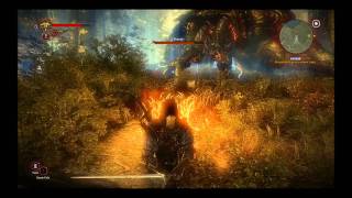 Guide The Witcher 2 Kayran Boss Kampf  Fight [upl. by Melodie527]